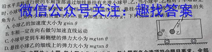 巴蜀中学校2023-2024学年高三下学期5月月考(黑黑白黑白黑黑)物理试题答案