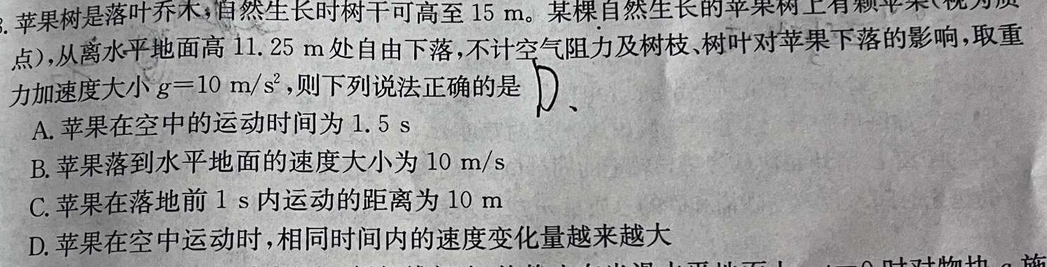 2024-2025学年黑龙江2022级高三上学年入学考试(物理)试卷答案