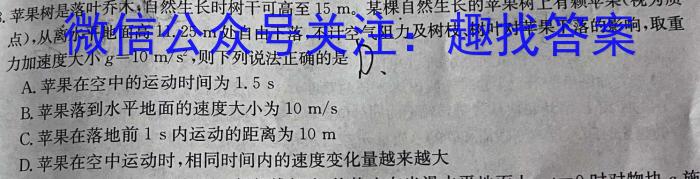 甘肃省2024-2025学年度第一学期高三开学质量检测物理试卷答案