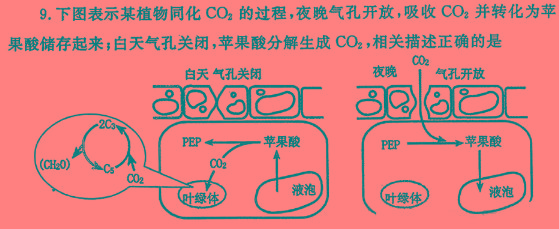 “皖韵风华·智慧挑战”九年级安徽省联盟考试生物