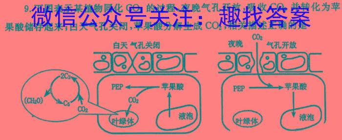 广西省名校联盟2024届高三年级下学期2月联考生物学试题答案