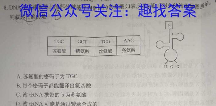 2024届国考卷18高考仿真考试(七)生物学试题答案