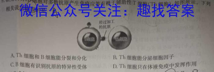 2024年普通高等学校招生全国统一考试标准样卷(一)1生物学试题答案