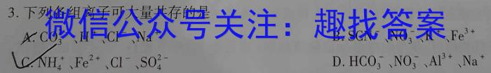 【精品】陕西省2024年九年级仿真模拟示范卷 SX(五)5化学