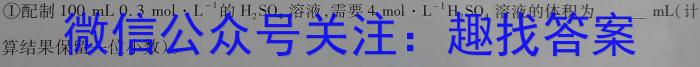 3陕西省2024年中考总复习专题训练 SX(二)化学试题