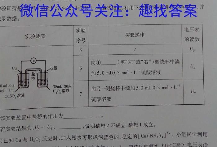 2024年湖南省高一年级12月考试化学