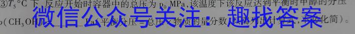 q衡水金卷先享题信息卷 2024年普通高等学校招生全国统一考试模拟试题(二)化学