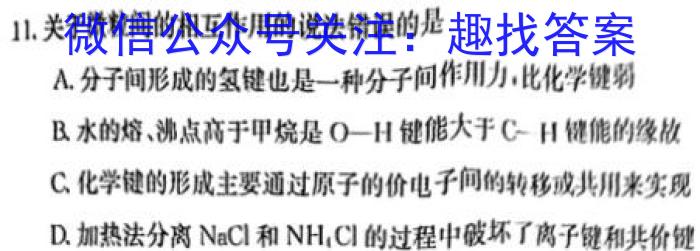 河南省2024年考前适应性评估(一)[6L]化学