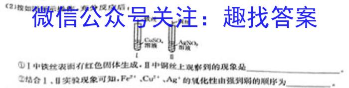 【精品】河北省2023-2024学年第二学期八年级学情质量检测（一）化学