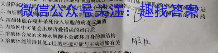 2024年山东省日照市2022级高二下学期期末校际联合考试生物学试题答案