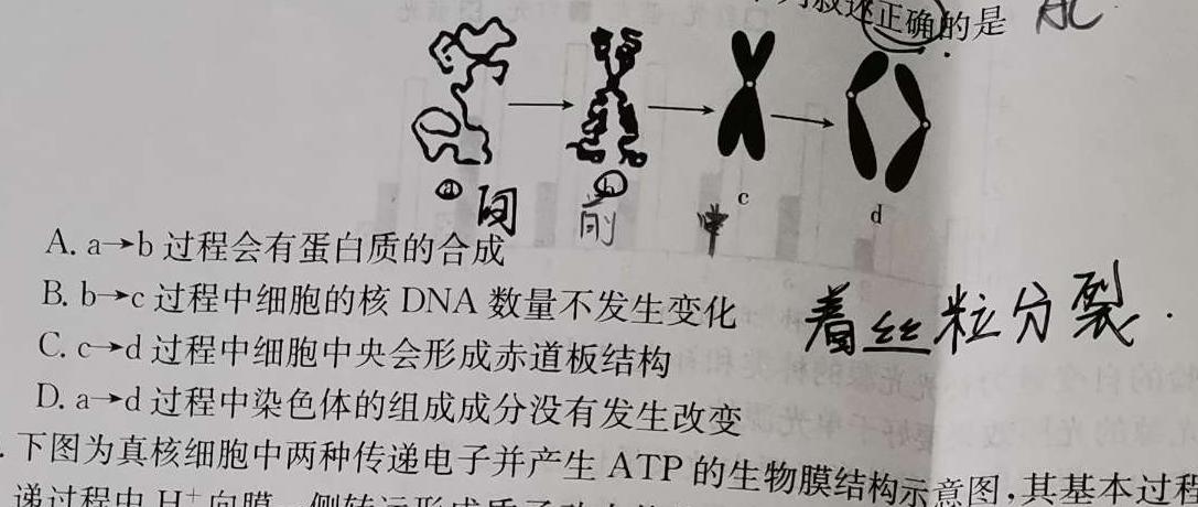 山西省高二2023~2024学年第二学期期末考试(24731B)生物学部分