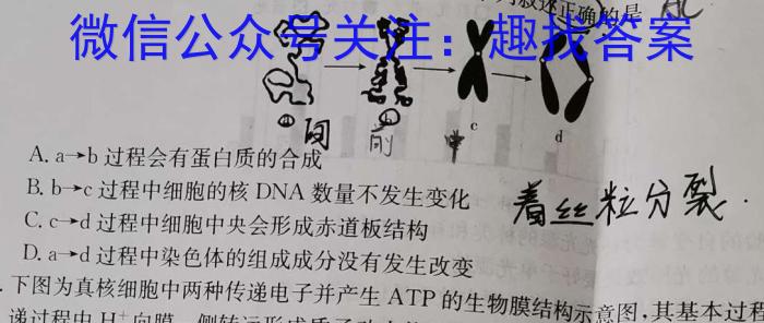 陕西省汉中市2024届高三年级教学质量第二次检测考试(4月)生物学试题答案