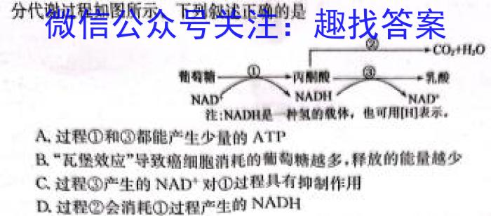 湖北省2024年高一9月月考生物学试题答案