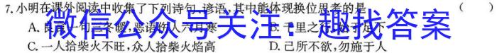 洛平许济2023-2024学年高三第三次质量检测(3月)政治试卷d答案