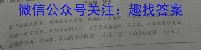 2024年河南省普通高中招生考试模拟试卷（导向一）/语文