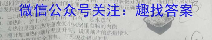 陕西省陈仓区2023-2024学年第二学期九年级摸底考试物理试卷答案