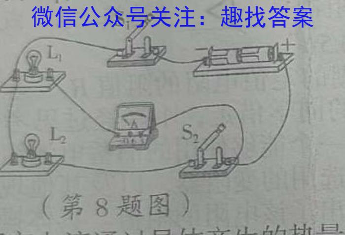 江淮名校2023-2024学年高二年级下学期开学考物理`