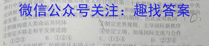 安徽省无为三中2023-2024学年度第二学期九年级学情调研政治试卷d答案