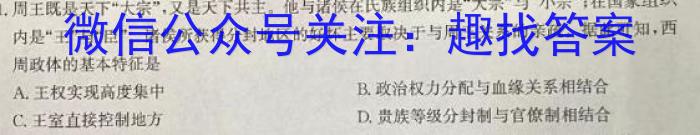 邕衡金卷·名校联盟 柳州高中、南宁三中2024届一轮复习诊断性联考历史试卷答案