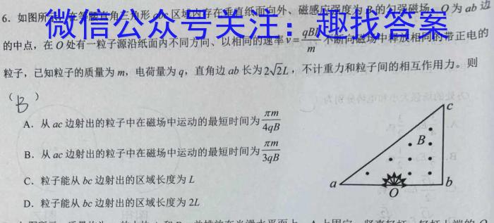 云南师大附中(云南卷)2024届高考适应性月考卷(八)(黑白白黑黑黑白)l物理