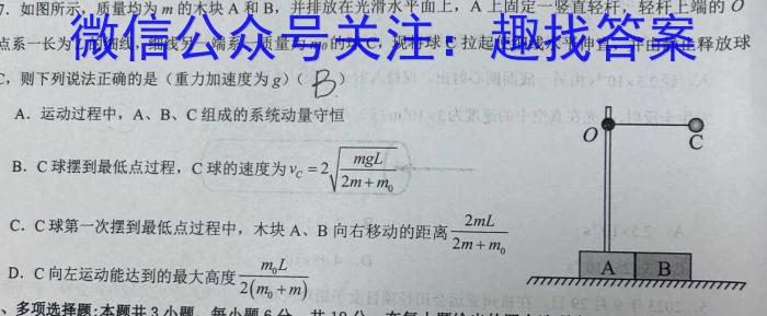 2024届石室金匮高考专家联测卷(四)物理`