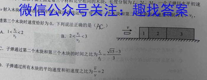 文博志鸿 2024年河北省初中毕业生升学文化课模拟考试(压轴二)物理试卷答案