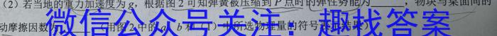 山西省2024年考前适应性评估（一）6LR物理试卷答案