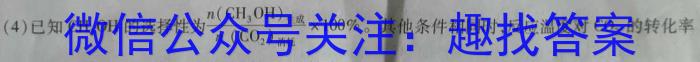 【精品】晋文源·山西省2024年中考考前适应性训练试题（八年级）化学