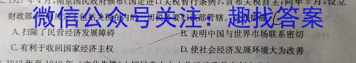 河南省洛阳市2023-2024学年高二第二学期期中考试历史试卷