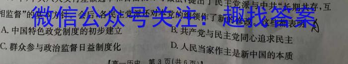 金科大联考·河南省2023-2024学年高二年级第二学期4月联考&政治