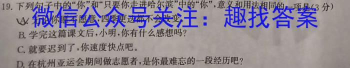 华附,省实,广雅,深中2024级高二下学期四校联考语文