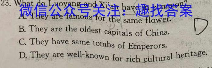 安徽省2024-2025学年上学期八年级开学考试（无标题）英语
