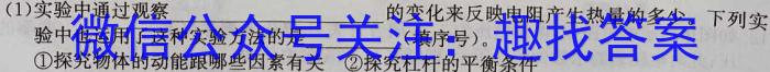 河北省2024年考前适应性评估(二)[6L]物理试题答案