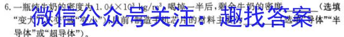 2024安徽九年级无标题(试题卷)5.30物理试卷答案