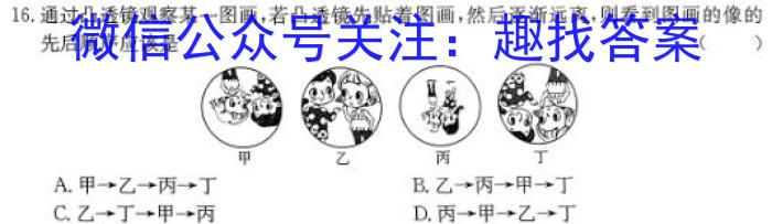 2024年陕西省初中学业水平考试信心提升卷物理试卷答案