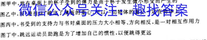 2024年河北省初中学业水平适应性测试物理`