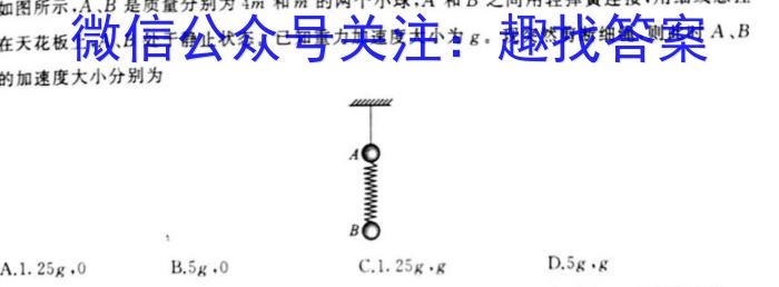 江西2024年初中学业水平考试原创仿真押题试题卷六6物理`