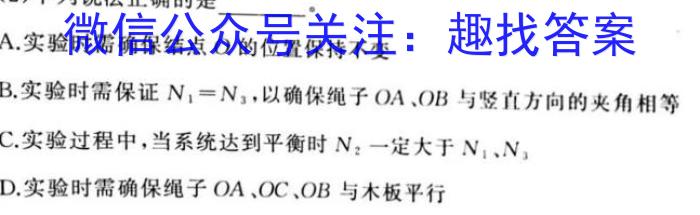 河北省2024年初中毕业班教学质量检测（一）物理试卷答案