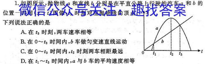 王后雄2024年普通高等学校招生全国统一考试预测卷物理试卷答案