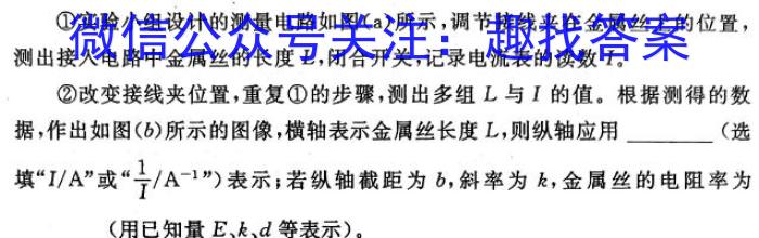 2024年河南省普通高中招生考试·命题人卷物理试卷答案