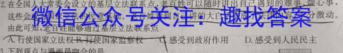炎德英才大联考·2024年普通等学校招生全国统一考试考前演练二政治试卷d答案