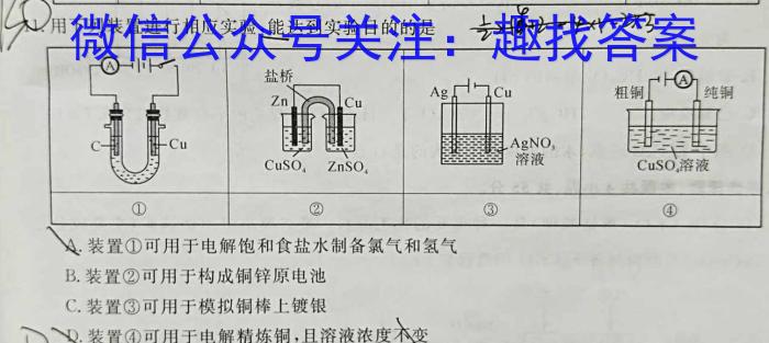 河南省安阳市二〇二四年九年级教学质量抽测化学