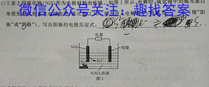 2024年河南省中招备考试卷(二十)化学