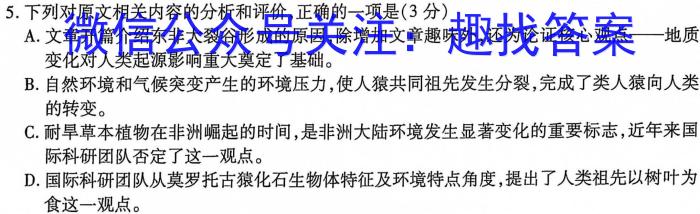 河南省2024年春季学期高二年级4月质量检测(24519B)语文