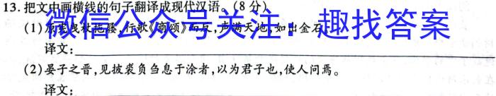 临沂市2022级普通高中学科素养水平监测试卷(2024.7)语文