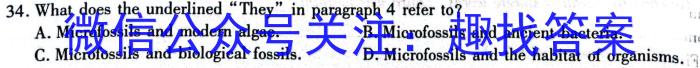 文博志鸿 2024年河南省普通高中招生考试模拟试卷(冲刺一)英语试卷答案