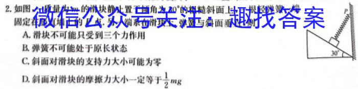 鼎成大联考2024年河南省普通高中招生考试（三）h物理