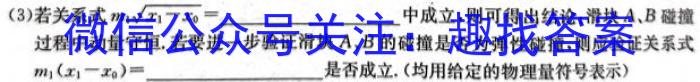 衡水金卷 山东省2024届高三年级2月份大联考(SD)物理`