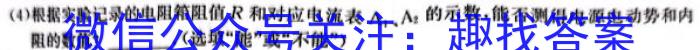 河南省郸城县2024年七升八暑假大预习测试卷物理试题答案