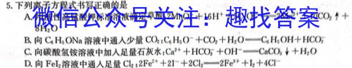 q1号卷·A10联盟2024年高三4月考试化学